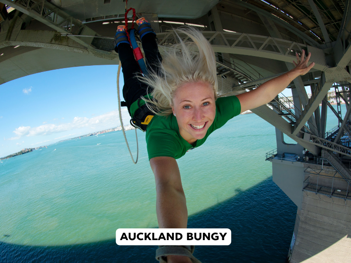 Bungy
