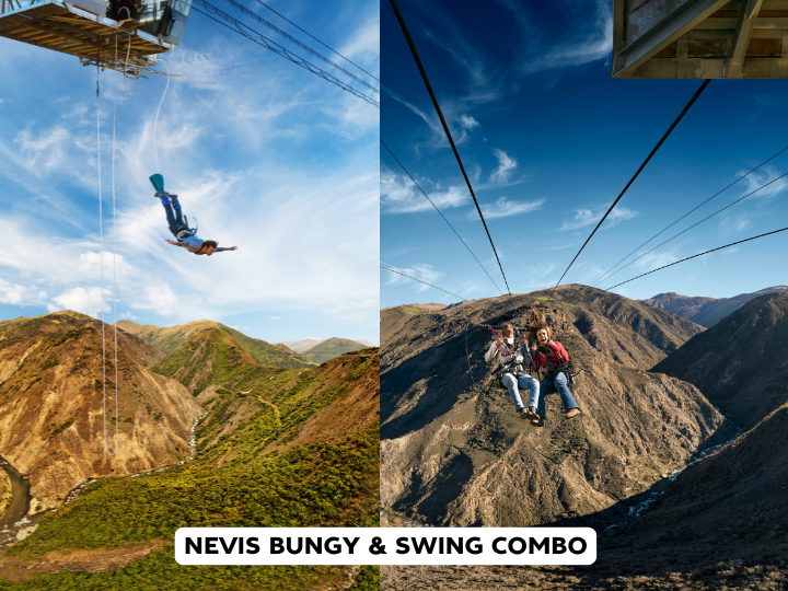 Bungy & Swing